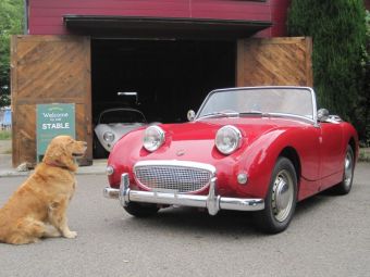 1961 AUSTIN HEALEY SPRITE MK-1