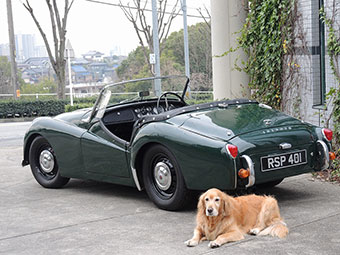 1957 TRIUMPH TR3