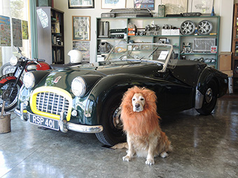 1957 TRIUMPH TR3