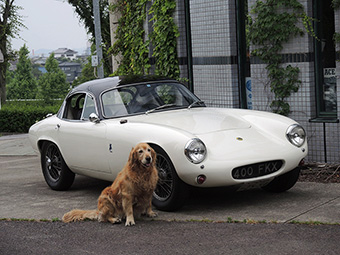 1958 LOTUS ELITE C/N1006P