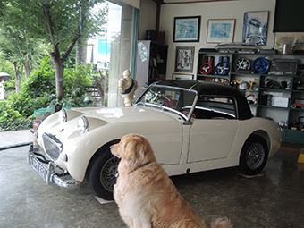 1960 AUSTIN HEALEY SPRITE MK-1　ハードトップ付き