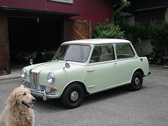 1965 RILEY ELF Mk2