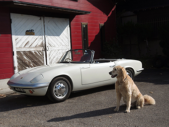 1963 LOTUS ELAN Sr1