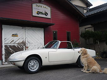 1966 LOTUS ELAN S3 DHC