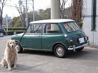 1963 MORRIS MINI COOPER 997 Mk1